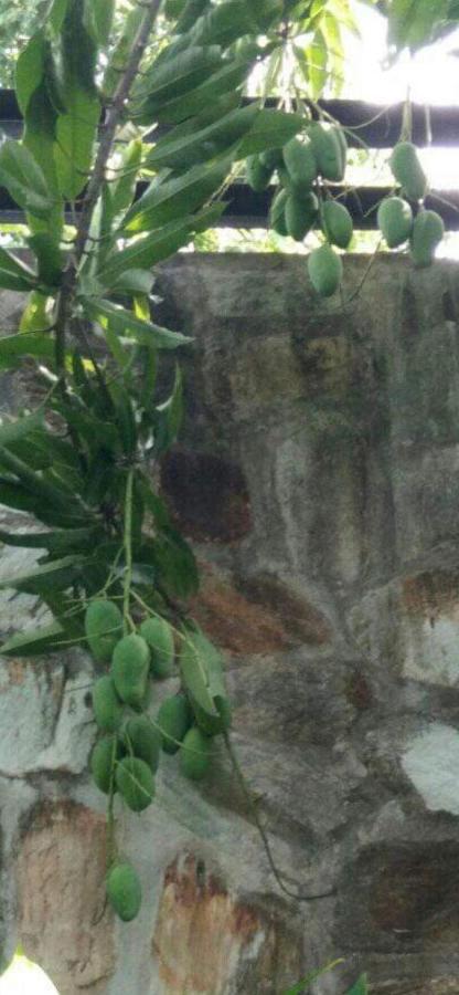 Nober Apartments Puerto Princesa ภายนอก รูปภาพ